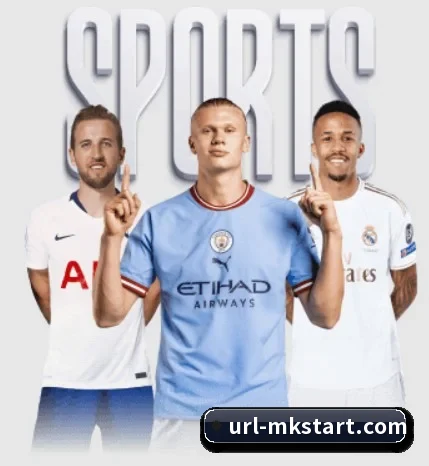 每个板块围绕一个运动项目展开 - 多运动项目内容板块 | mksports